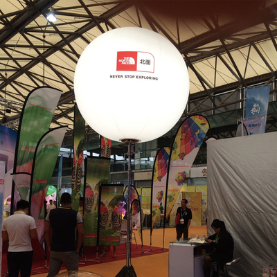 Factory Price OEM Service Promotion Custom Print Logo PVC Inflatable Balloon for Event Decoration