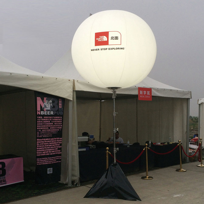 Factory Price OEM Service Promotion Custom Print Logo PVC Inflatable Balloon for Event Decoration