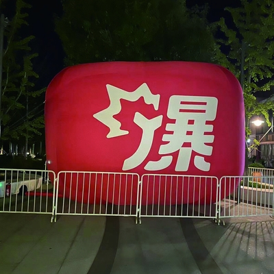 Promotion Giant Advertising Inflatable Model OEM Printing Large Inflatable Balloon