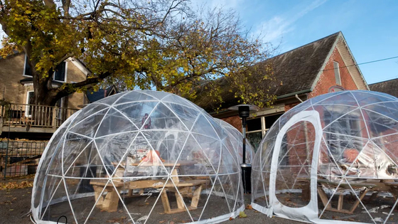 New Design 4 to 10 people 850g PVC Fabric Glamping Dome Room Luxury Tents