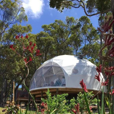 Half Sphere Trade Show Catering Dining Geodesic Dome Tent With Steel Frame Pvc Cover