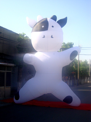 Factory Price Custom Inflatable cartoon Advertising Inflatables for Event Advertising Cartoon Model Decoration Balloon Model